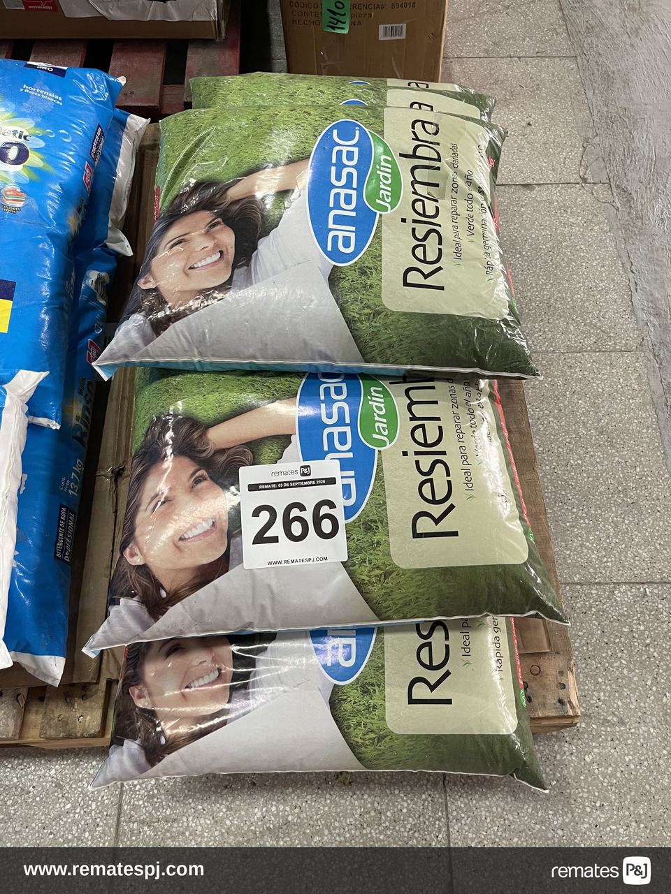 Semilla de pasto anasac 5kg
