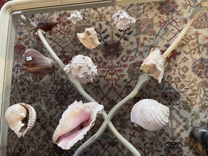 CARACOLAS