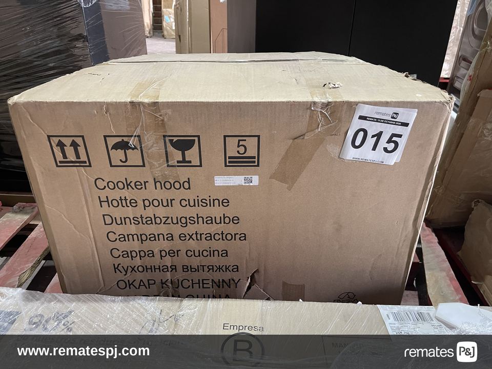 CAMPANA EXTRACTORA 202 W CURVET 60