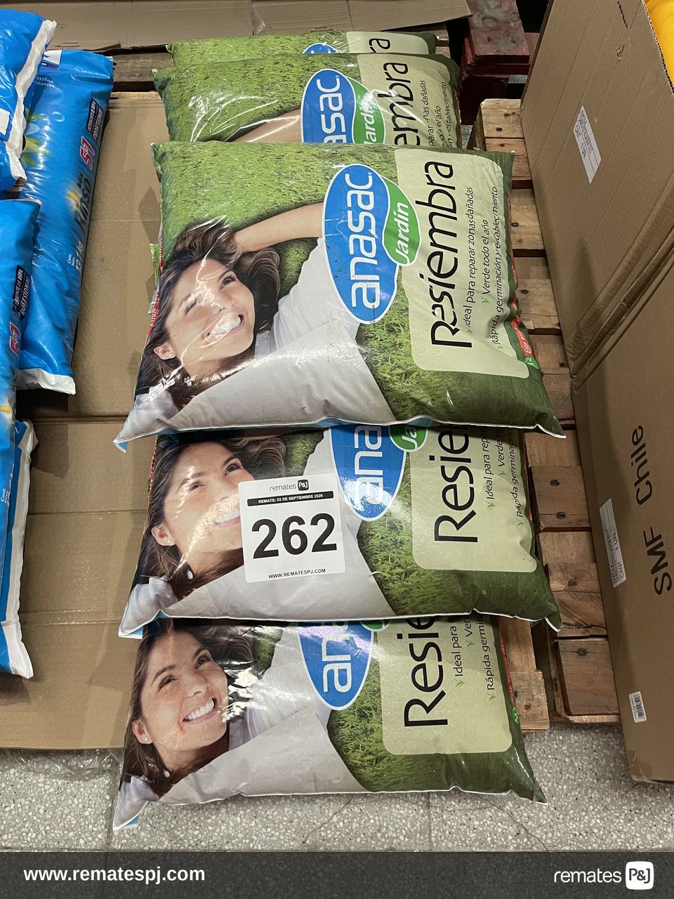 Semilla de pasto anasac 5kg