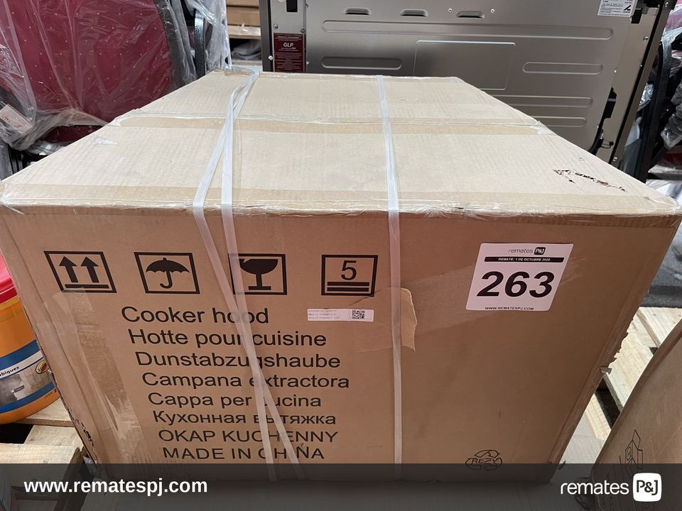 CAMPANA EXTRACTORA 202 W CURVET 60