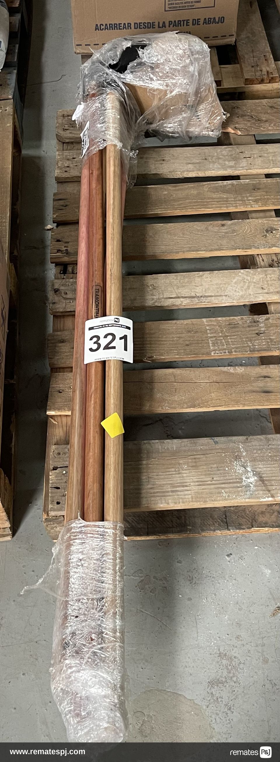 Lote de azadones