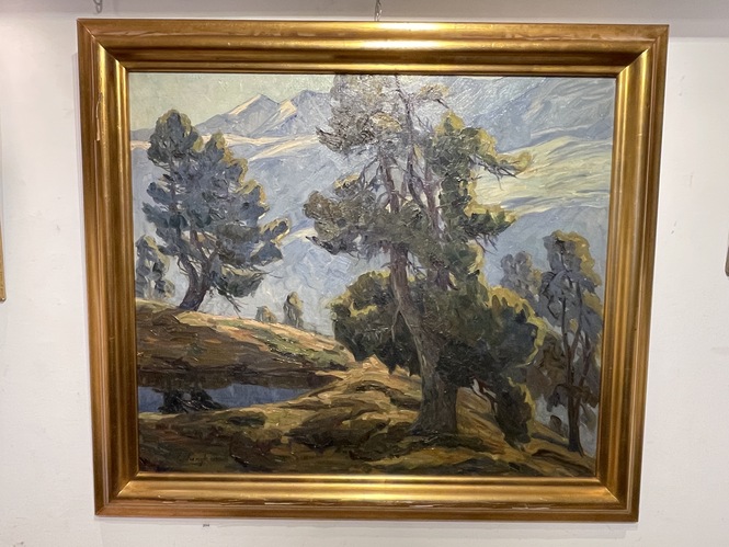 BOSQUE ALPINO