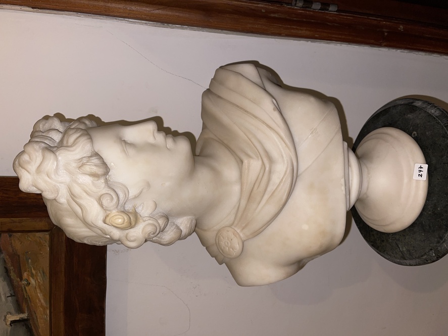 BUSTO