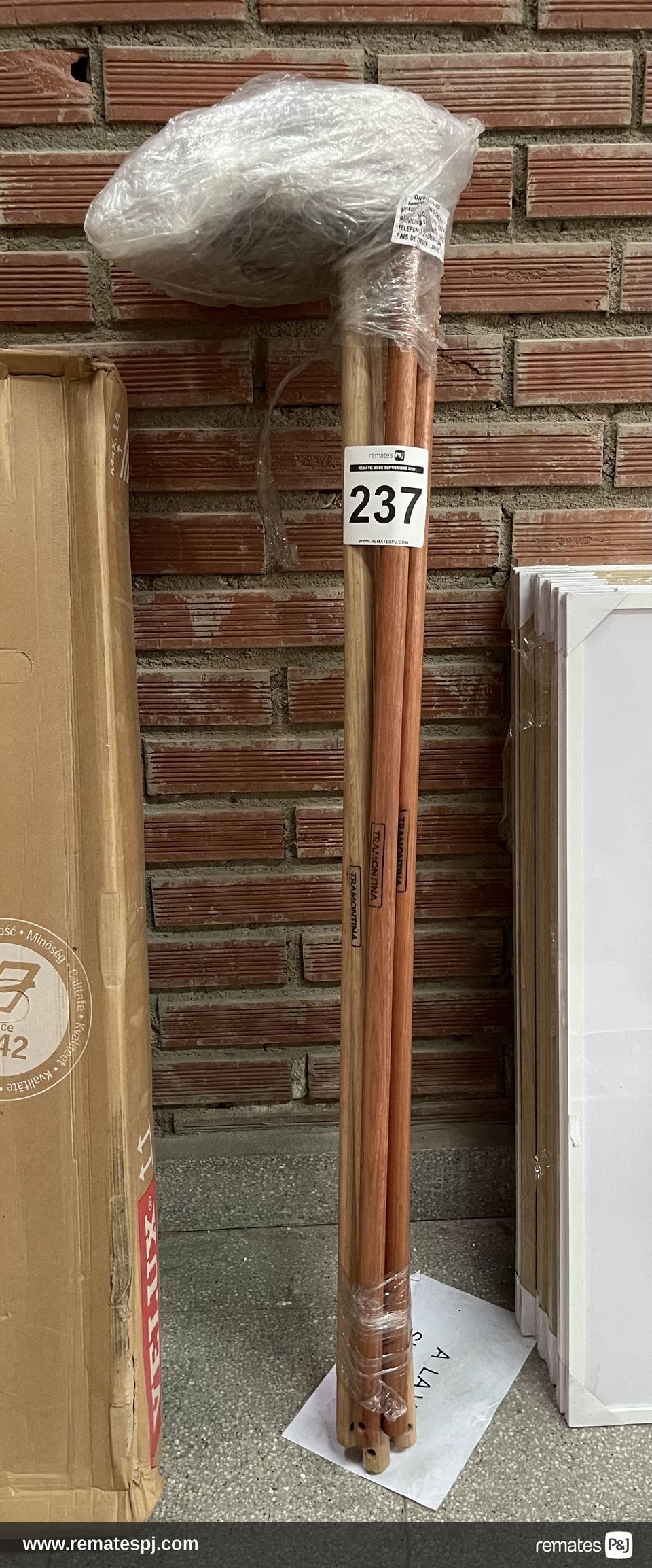 Azadon mango 140cm